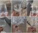 handmade glass drinkware